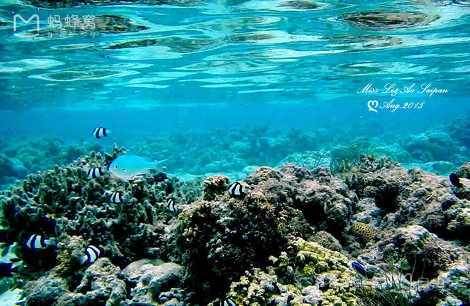 去塞班旅行自由行攻略,来塞班旅游怎么样