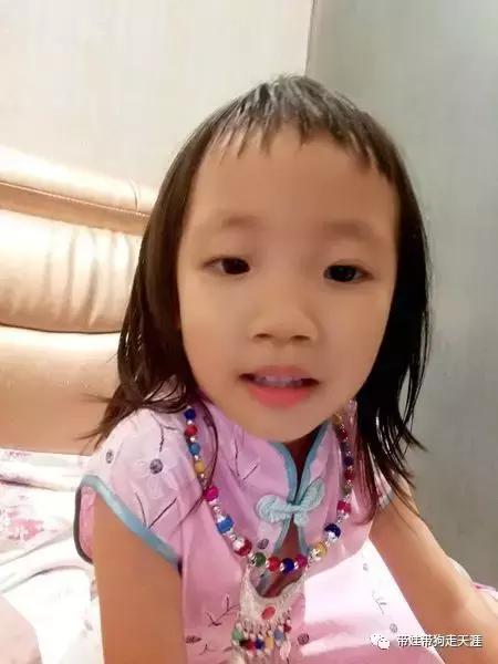 开着房车去遛娃,开着房车带狗狗出去玩