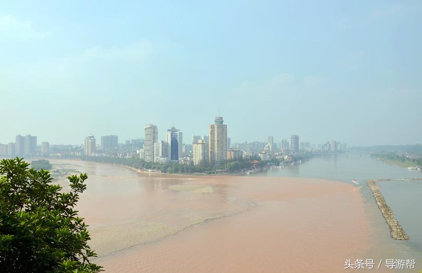 乐山大佛导游词200个字三年级,介绍乐山大佛250个字的导游词