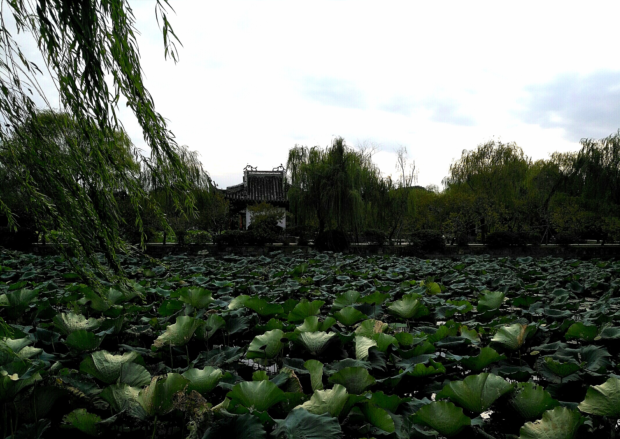 游无锡灵山大佛攻略,游无锡灵山胜境要几小时