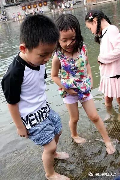 开着房车去遛娃,开着房车带狗狗出去玩