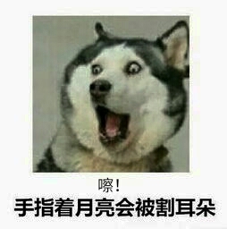 小孩子指月亮真会割耳朵吗,手指指着月亮真的会被割掉耳朵吗