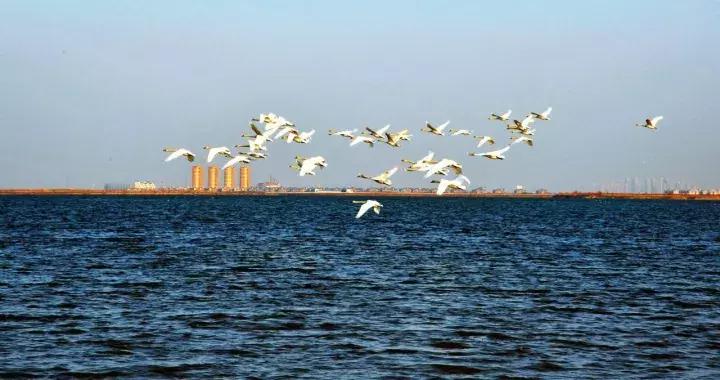 天津静海区2020年发展规划,天津市静海区2024年重点发展