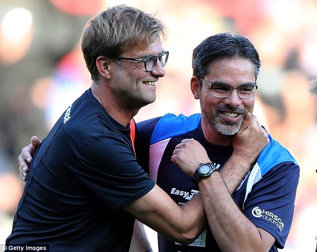 克洛普中卫英超,英超新援观察范德贝克