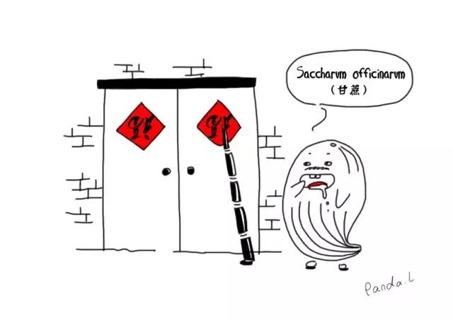 云南特殊的春节习惯少数民族地区最好玩