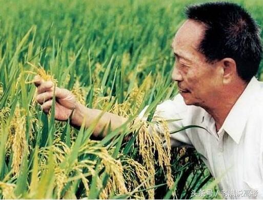 专科粮食工程,粮食工程和食品专业哪个好