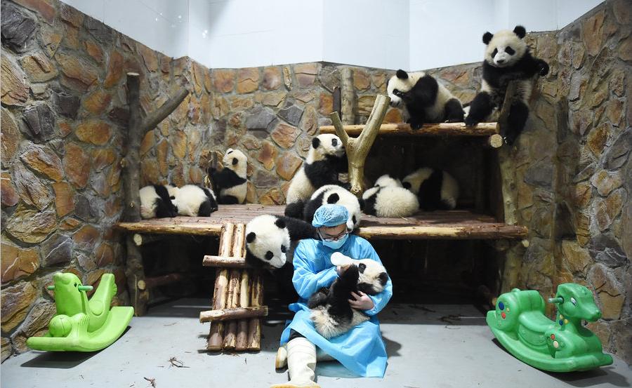 每天被人抱在怀里是什么感觉,每天都在抱大腿日常