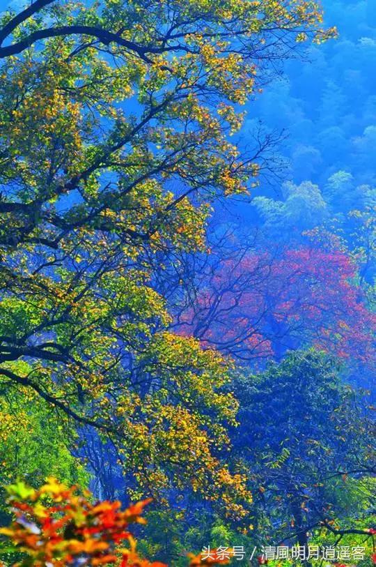 绝美秋天古诗词句子大全,关于秋天的美文和古诗词