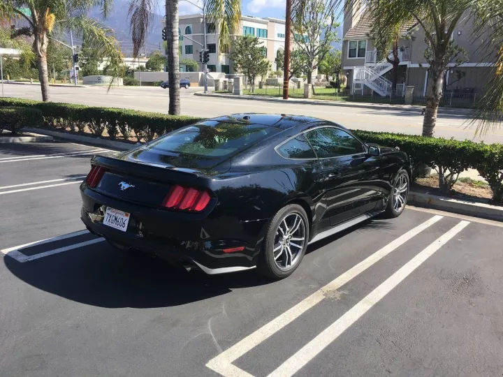 北美野马,试驾福特野马