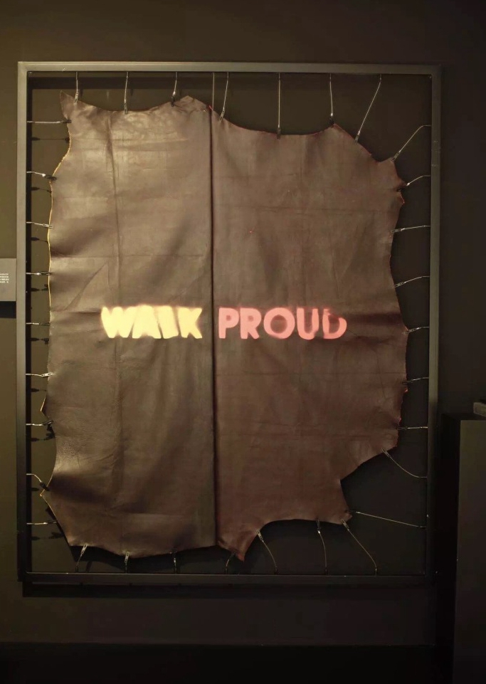 ecco的技术,你想不到的科技创新感