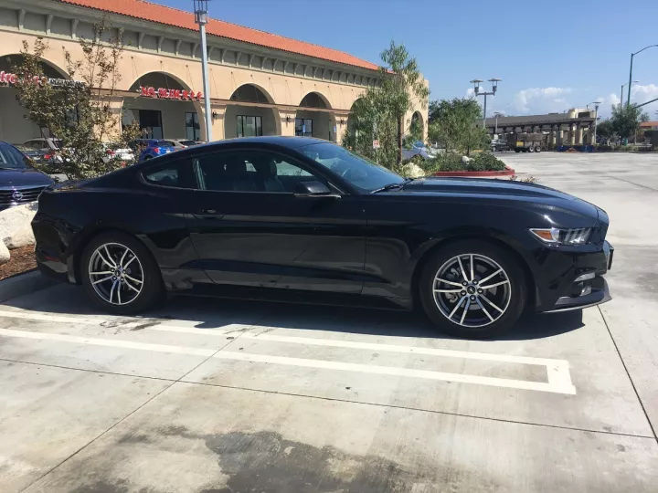 北美野马,试驾福特野马