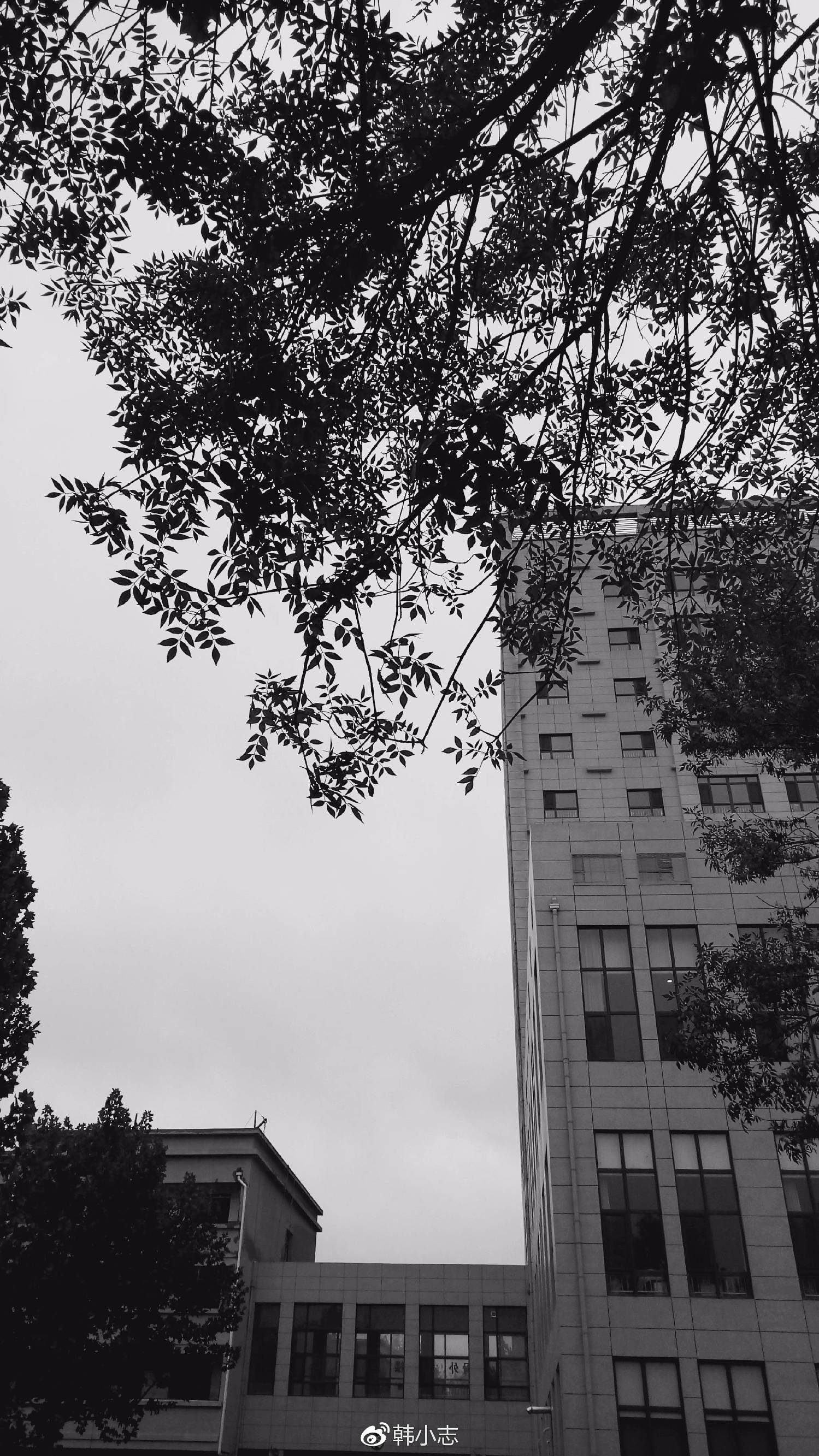 魅蓝6手机体验评测,魅蓝6为什么比旗舰机好