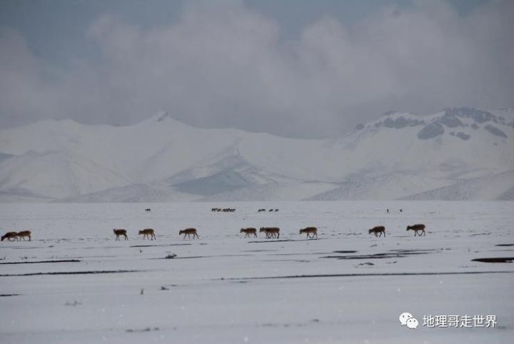 藏北高原无人区攻略,藏北无人区风景美如画