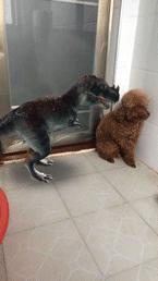 超好用的美颜软件,十大惊艳黑科技app