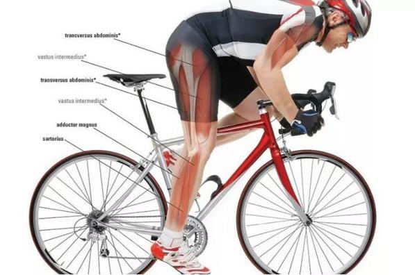 骑行的姿势不对会导致腰疼么,骑行颠簸腰疼怎么办