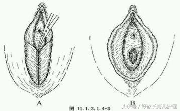 家有女宝宝的家长看过来,家有女儿的家长看过来