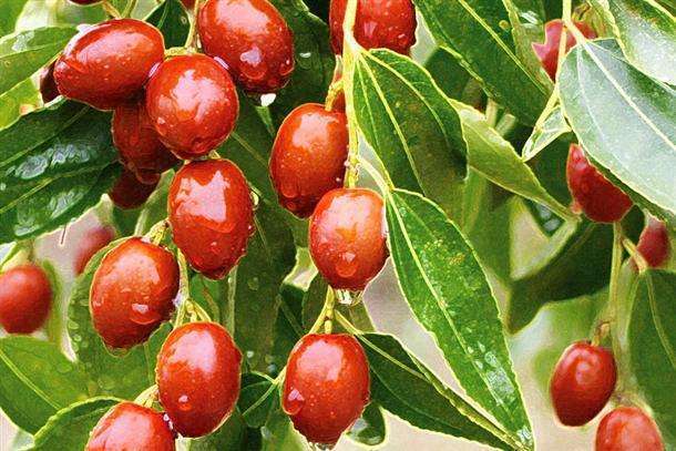 胃不好有胃病的人需要注意哪几点,胃不好的8种人不能吃