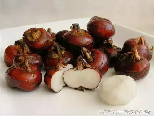 萝卜皮吃多了有什么坏处,吃萝卜皮的功效和好处