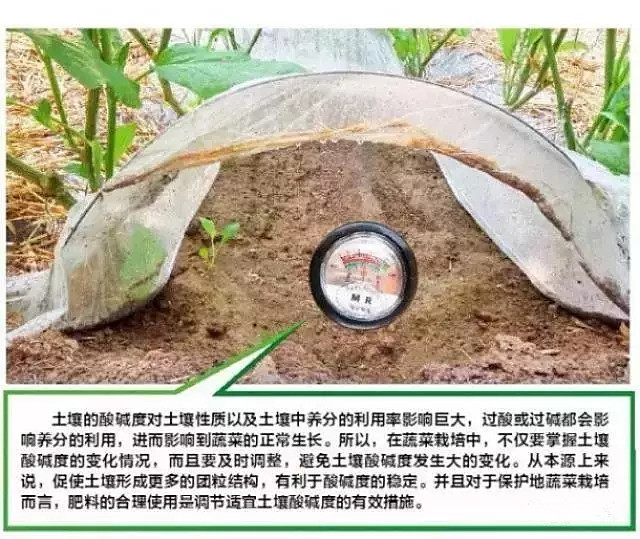 vc可以调节土壤酸碱吗,调节土壤酸碱平衡的最佳方法