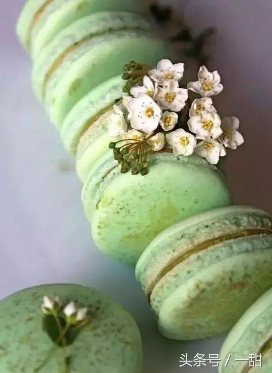 抹茶粉是绿茶做的,抹茶粉用哪种绿茶做