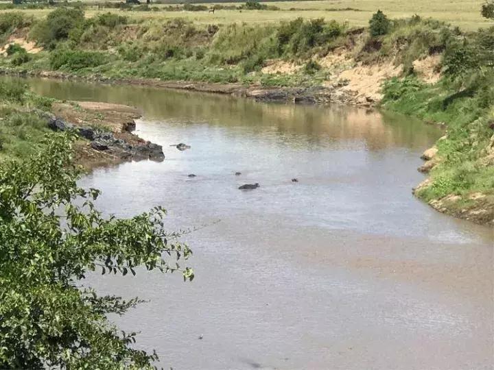 曾哥美国视频,曾哥美国