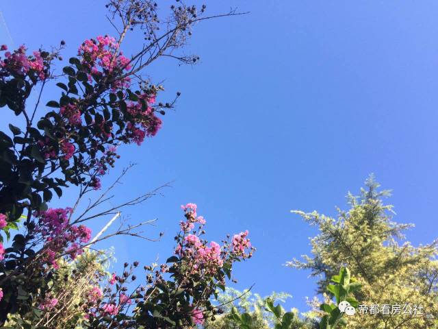 北京陶然北岸二手房,陶然北岸商品房