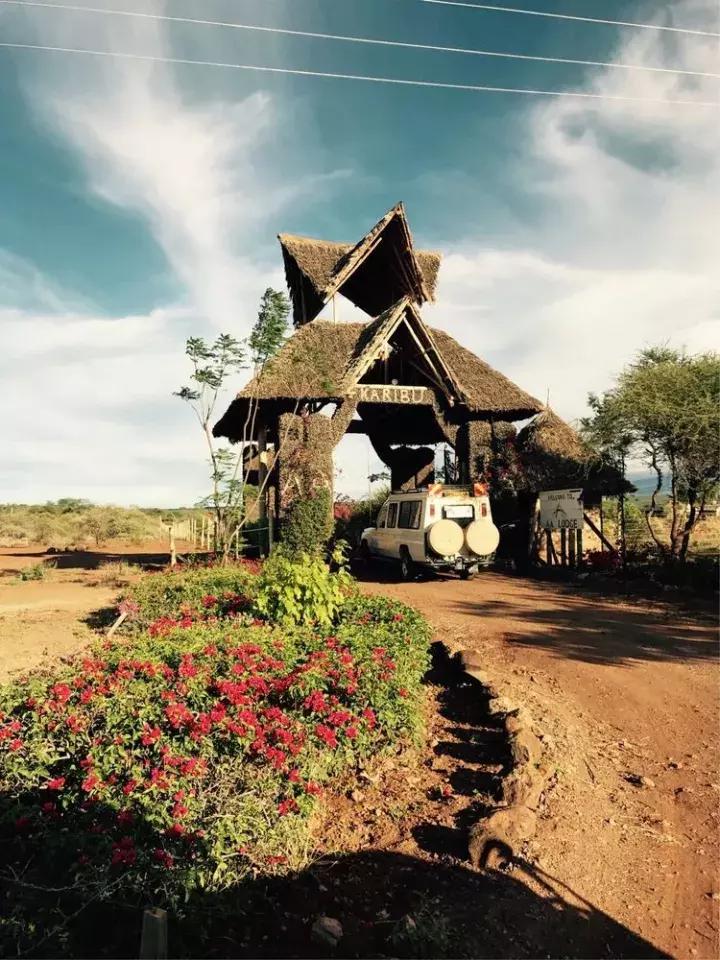 曾哥美国视频,曾哥美国