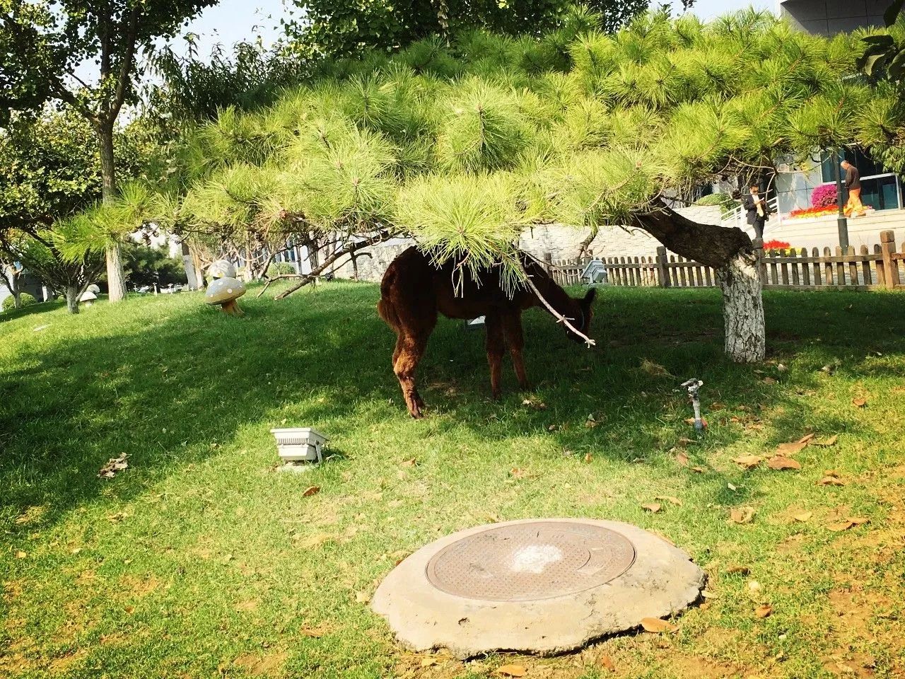 北京最高端驾校,北京性价比最高的驾校
