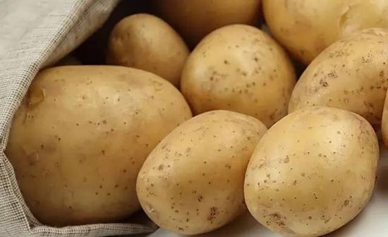 新鞋子如何处理不易臭脚,鞋子臭怎么办教你一招