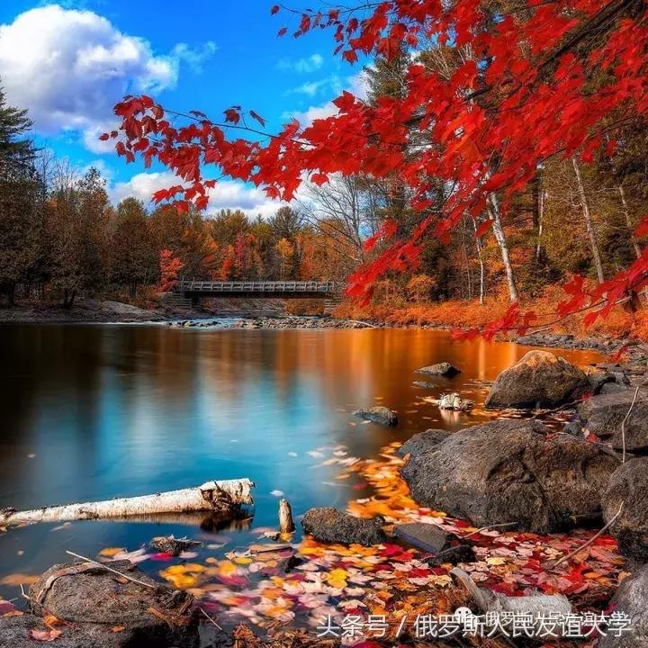 俄罗斯的秋天视频,俄罗斯的深秋美景