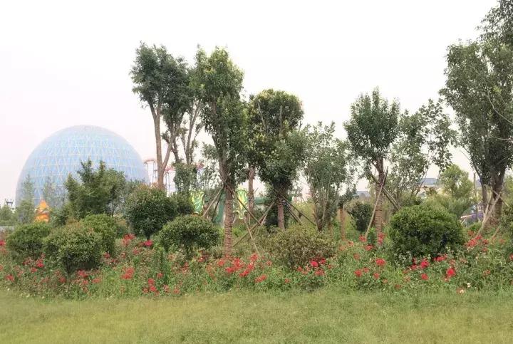 景观园林的奖项排行榜,风景园林项目