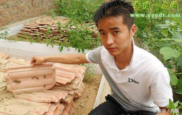 蝎子仿野生养殖方法视频教程,仿野生蝎子养殖方法有哪些