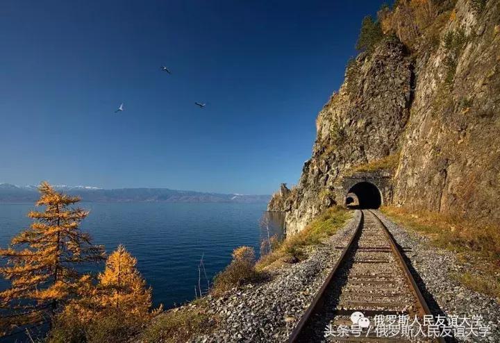 俄罗斯的秋天视频,俄罗斯的深秋美景