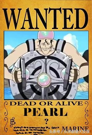 海贼王里一共出现过多少人物(四)(超新星等)