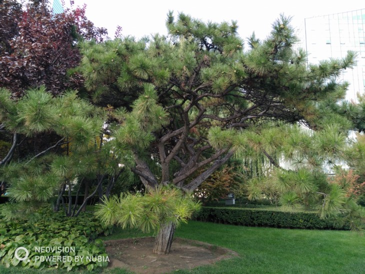 努比亚z17minis侧面照片,努比亚z17minis体验