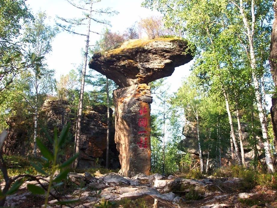 对不起我要去学校了模板,对不起我要去天津了