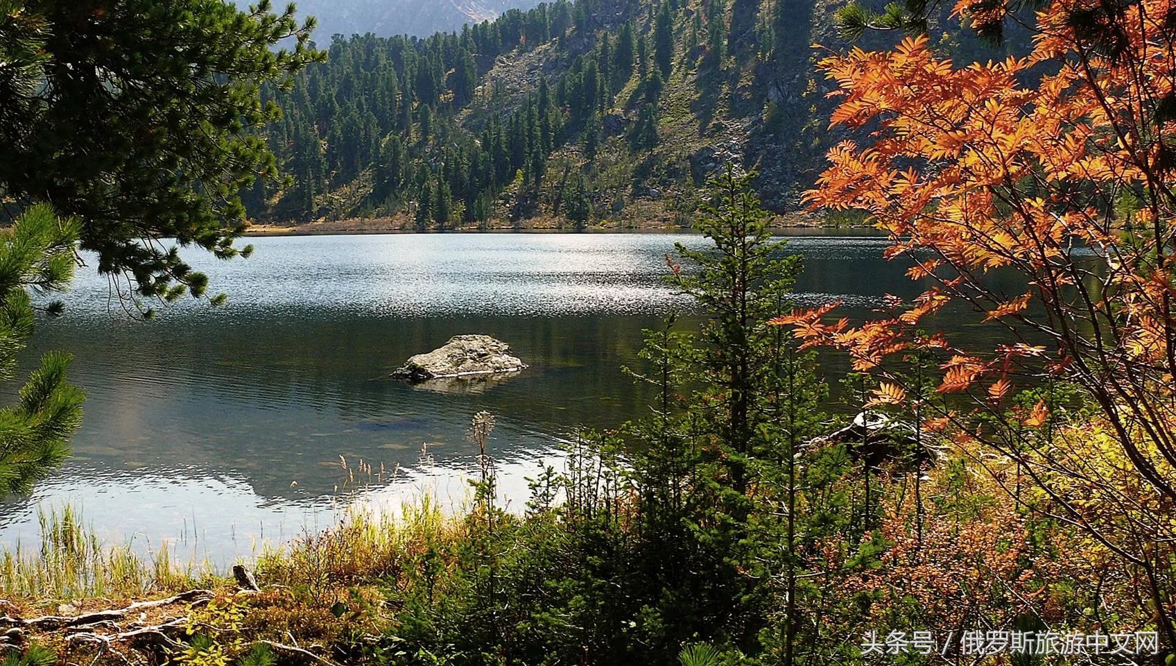坑人的坑,坑人的坑在哪里