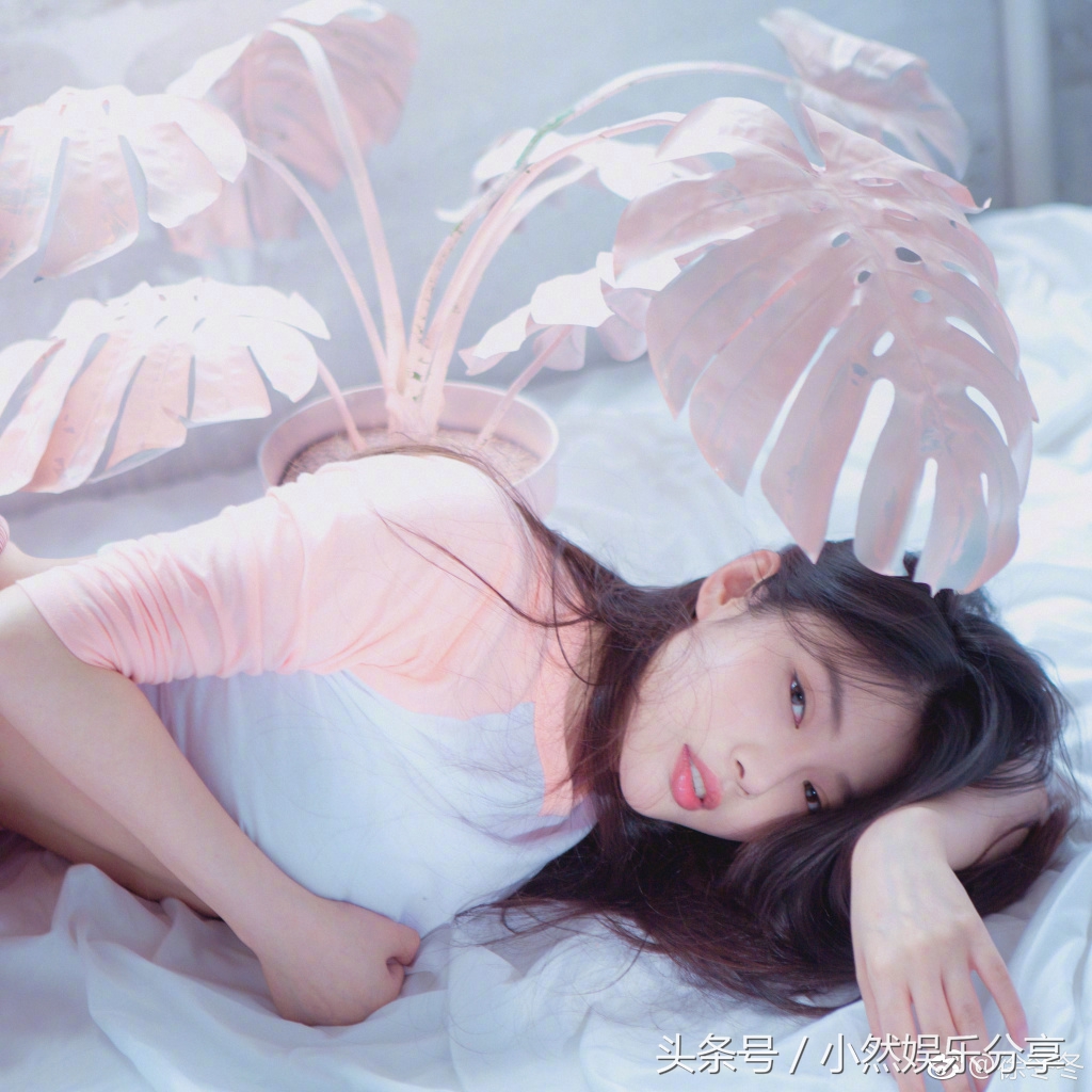 二十岁演大热网剧出道,甄子丹和刘德华的最新电影