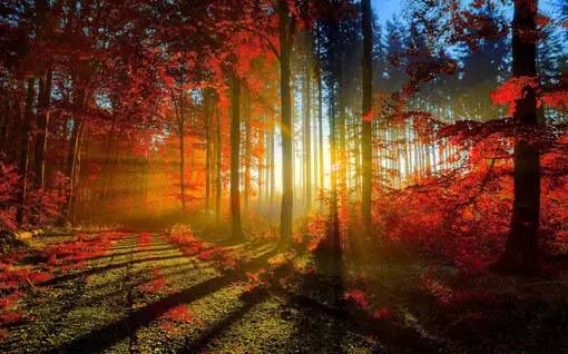 朱自清匆匆背诵技巧,朱自清匆匆朗诵