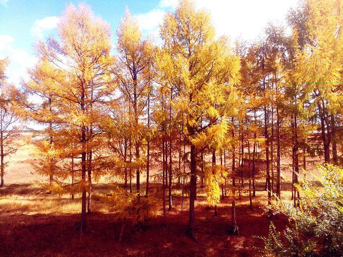 慢旅行自驾游,慢旅行