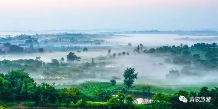 达人招募武汉,全国招募旅游达人直播