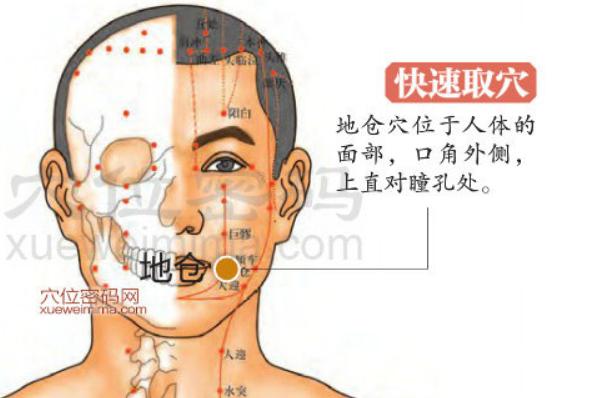 全身解毒最快的穴位,打通全身经脉的穴位