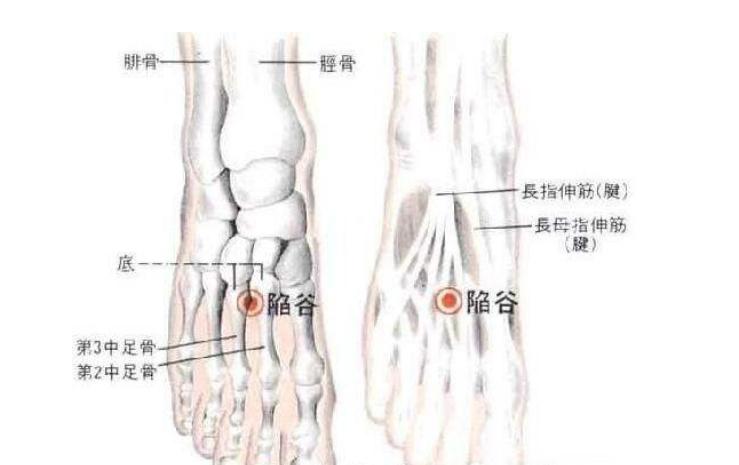 全身解毒最快的穴位,打通全身经脉的穴位