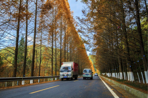 米仓古道平昌,米仓古道文化