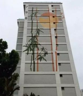 新加坡组屋装修攻略,新式组屋设计图