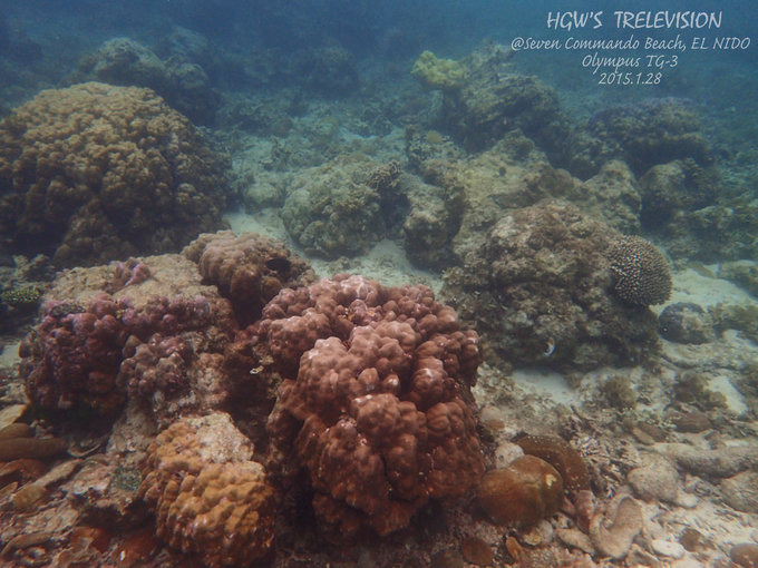 阳光，假日，海滩，带你深度游巴拉望上