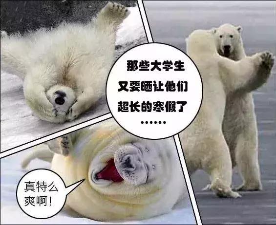 石家庄高中放假时间2022寒假通知,石家庄高校寒假放假最新通告