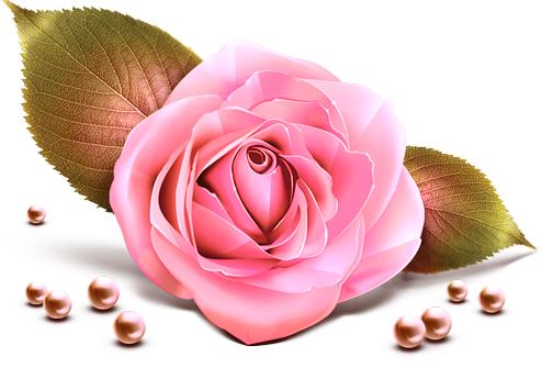 乔迁新居礼物高端大气上档次,老板乔迁新居送什么礼物最好