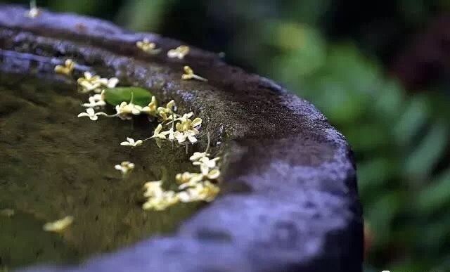 圈子虽小干净就好男生版,圈子虽小干净就好抖音视频