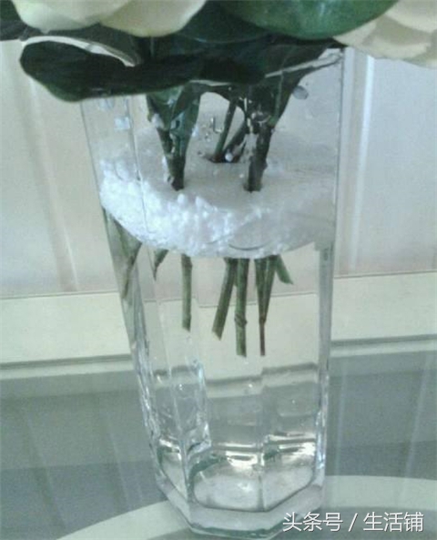 扦插不浇水容易出根,扦插不晾根能活么